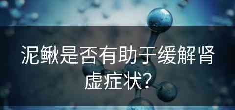 泥鳅是否有助于缓解肾虚症状？